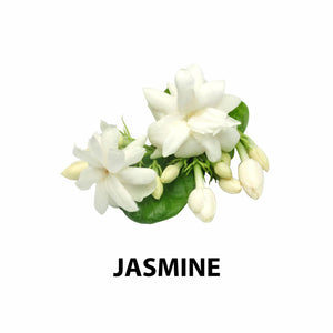 Jasmine
