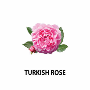 Peony