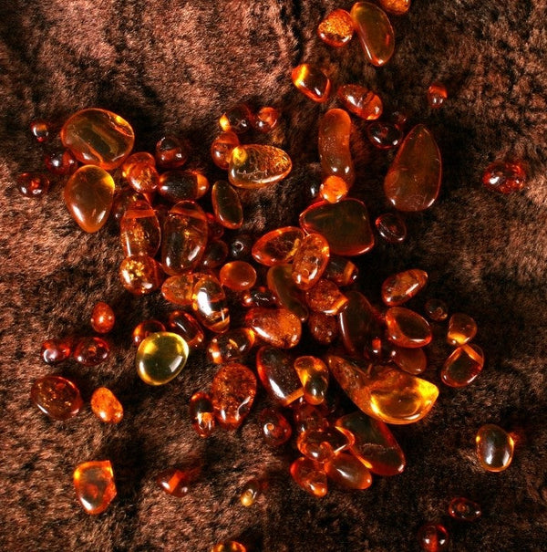 Best Amber Perfumes that Work All-Year Round
