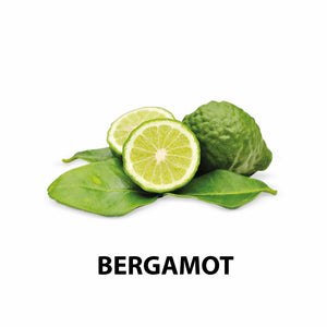 Bergamot