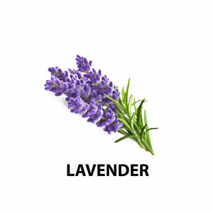 •	Lavender