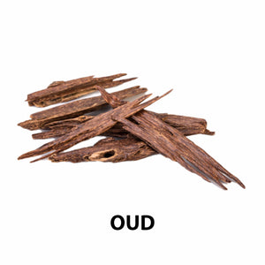 Oud